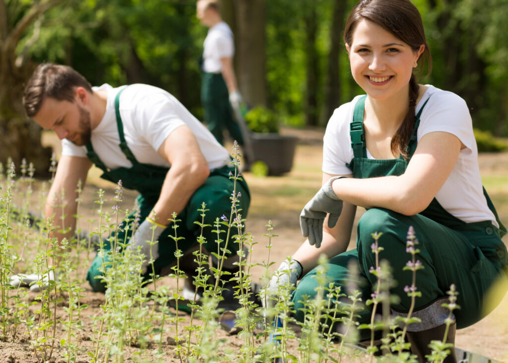 Gartenbaufachwerker/in oder Hilfskraft