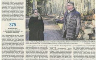 Hochhaus besteht aus regionalem Holz